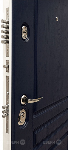 Входная металлическая Дверь Сударь МД-45 в Голицыно