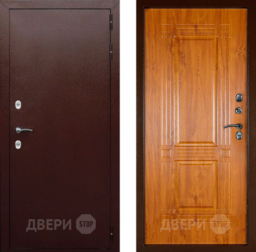 Входная металлическая Дверь Аргус Тепло-1 в Голицыно