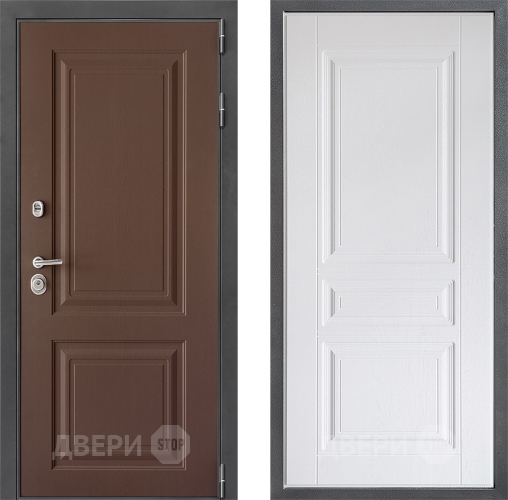 Входная металлическая Дверь Дверной континент ДК-3/729 ФЛ-243 Альберо Браш серебро в Голицыно