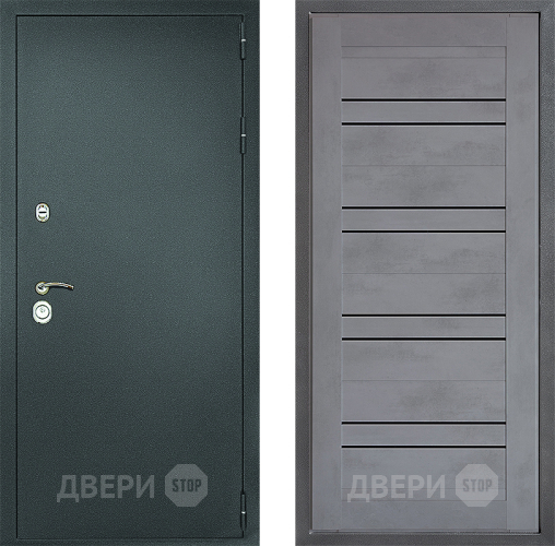 Входная металлическая Дверь Дверной континент Рубикон Серебро Дизайн ФЛ-49 Бетон серый в Голицыно