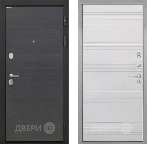 Входная металлическая Дверь Интекрон (INTECRON) Гектор Эковенге ФЛ-316 Белый ясень в Голицыно
