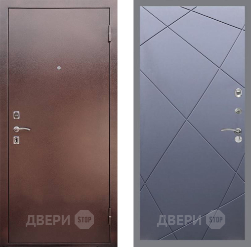Входная металлическая Дверь Рекс (REX) 1 FL-291 Силк титан в Голицыно