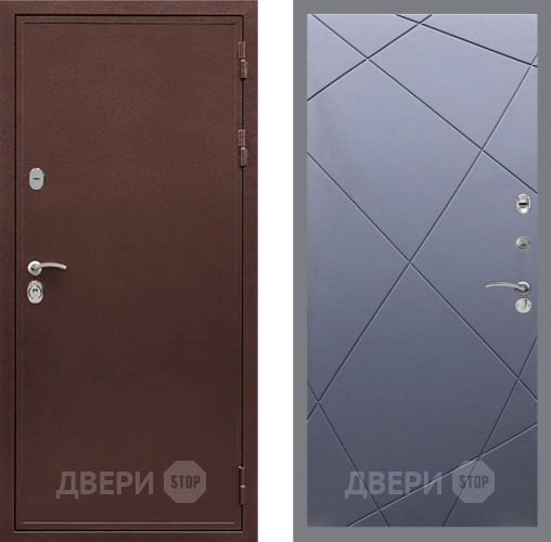 Дверь Рекс (REX) 5 металл 3 мм FL-291 Силк титан в Голицыно