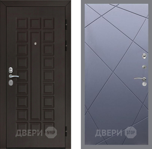 Входная металлическая Дверь Рекс (REX) Сенатор Cisa FL-291 Силк титан в Голицыно